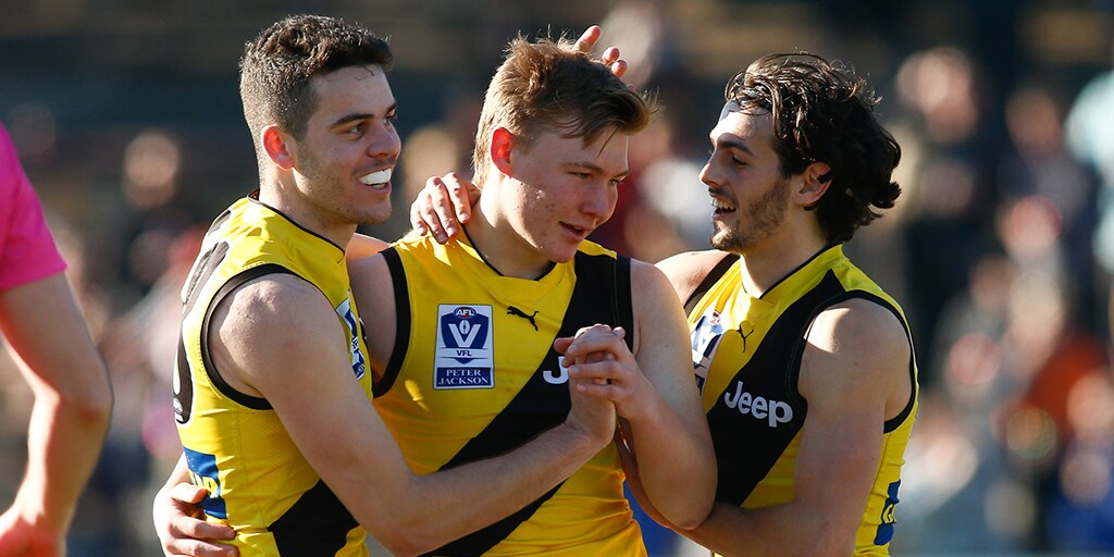 vfltigers1.jpg